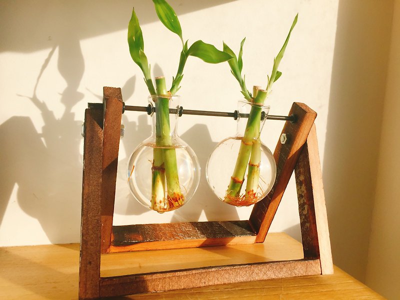 Pure natural green wooden glass bottle bamboo pot plant gift - ตกแต่งต้นไม้ - ไม้ไผ่ สีเขียว