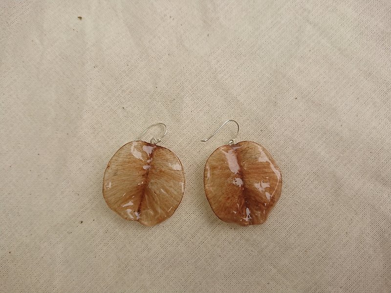 Handmade Taiwan Luan Tree Seed Earrings 925 Sterling Silver Ear Needle - Earrings & Clip-ons - Plants & Flowers Brown