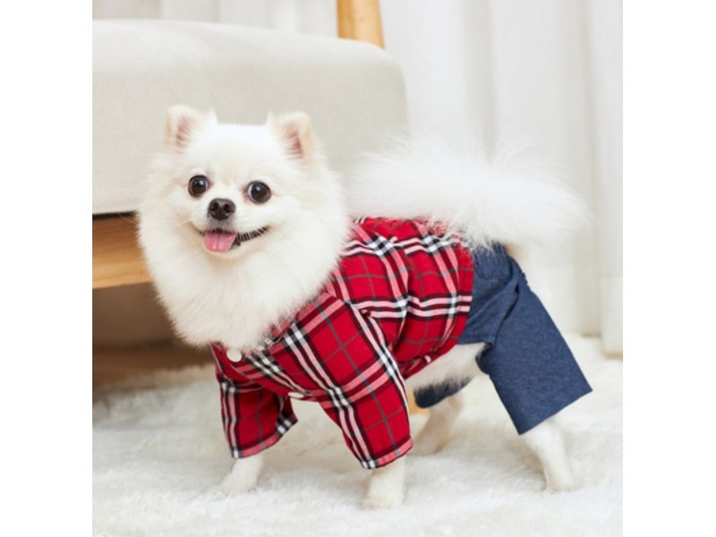 【iC原創】純棉藍色牛仔褲 - 寵物衣服 - 棉．麻 