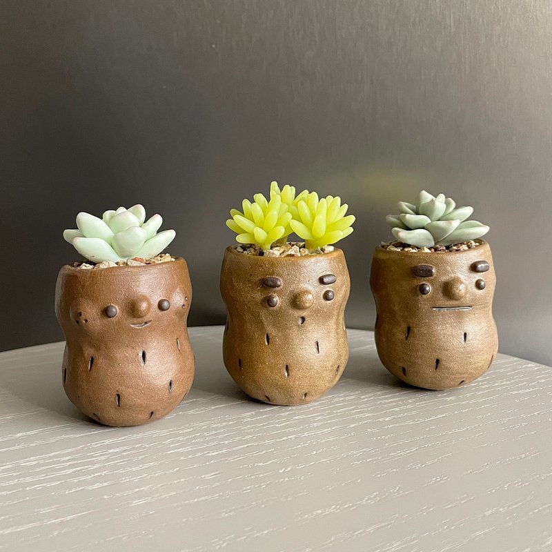 Pin Ceramics × Una Sofa Handmade 限定コラボレーション。良いことが「花生」（発生）する - 観葉植物 - 粘土 グリーン