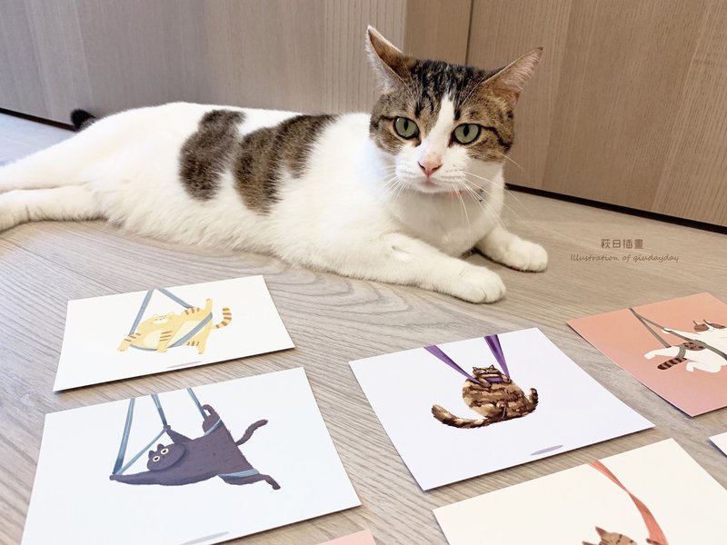 Cat Aerial Yoga Postcard Set - Cards & Postcards - Paper 