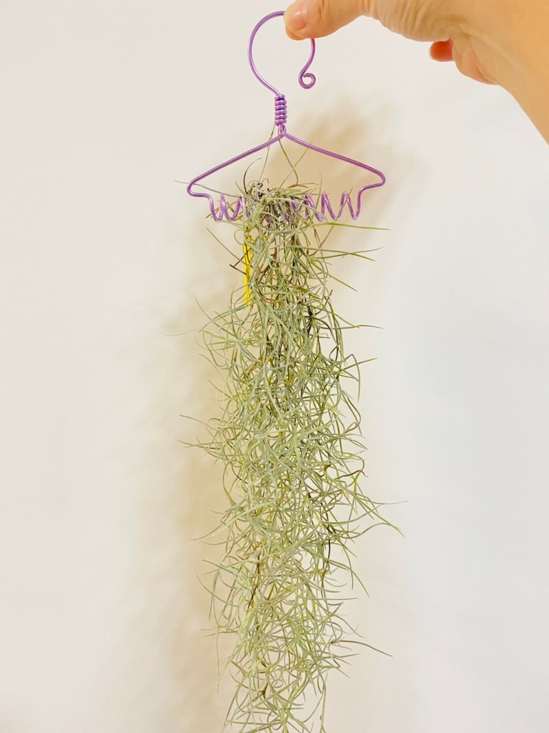 空氣鳳梨 松羅小衣架 鋁線吊籃 空間佈置 交換 畢業禮物(含植物) - 盆栽/植栽 - 其他金屬 粉紅色