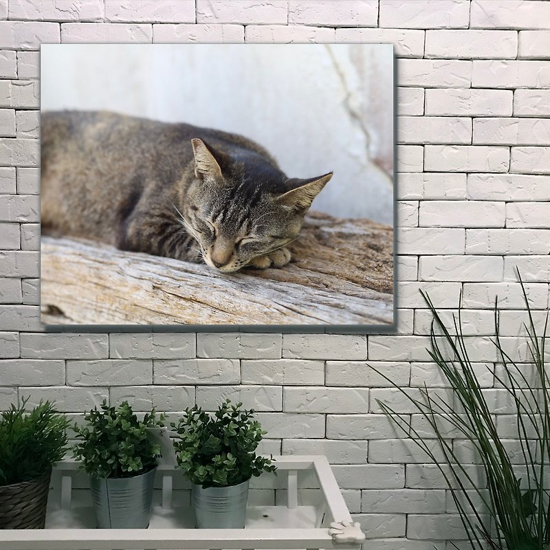 Frameless Copy Painting | Dreamy Cat A0048 | K Artist