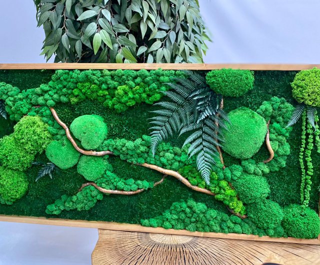 Moss wall clock, moss decor, green decor, eco decor - Shop GreenDecorFlorAl  Clocks - Pinkoi