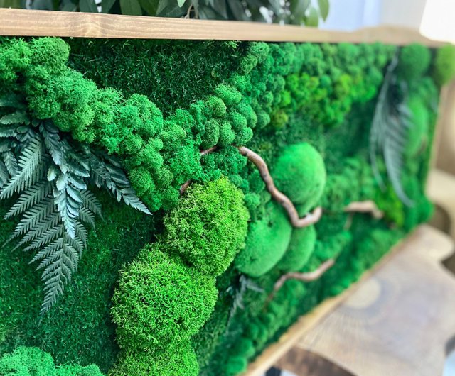 Moss Wall Decoration