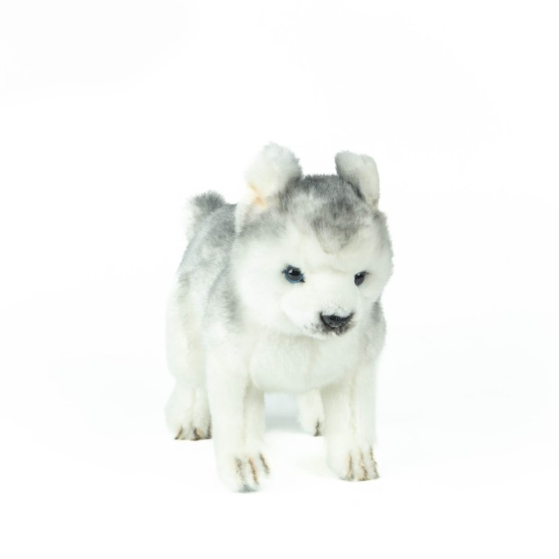 Hansa 8570-Shiki puppy standing 30 cm long - ตุ๊กตา - วัสดุอีโค สีเทา