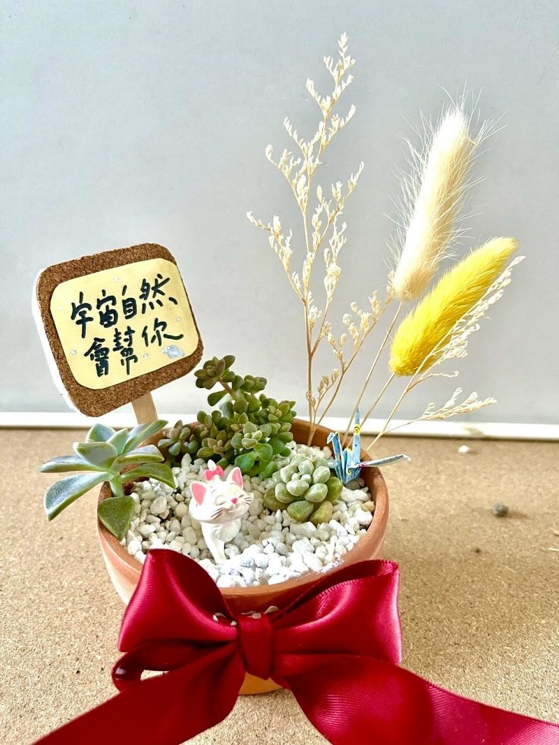 台中多肉組盆 多肉植物 日式枯山水 微景觀 迪士尼 瑪麗貓 Marie - 盆栽/植栽 - 植物．花 綠色