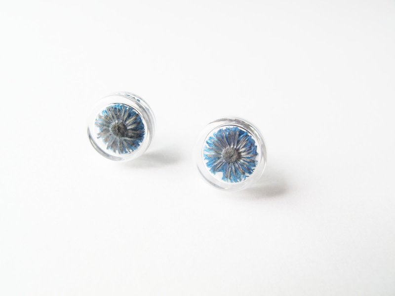 * Rosy Garden * Dried flowers navy blue Anaphalis sinica round glass earring - Earrings & Clip-ons - Glass Blue