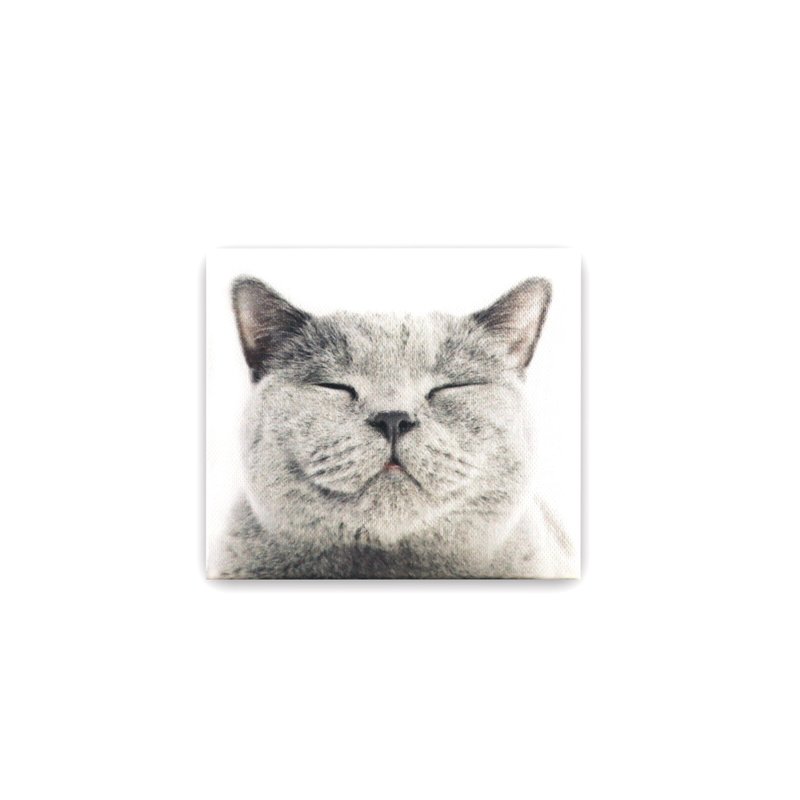 客製化禮物 MASKfolio S 口罩套 Grey Cat - 口罩/口罩收納套 - 紙 