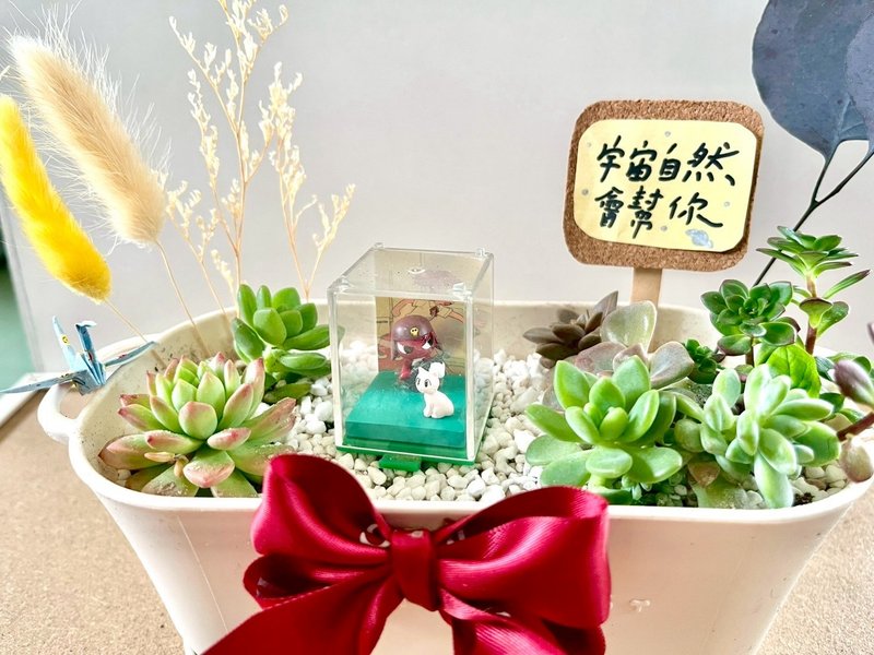 Giroro 伍長 晉升禮物 軍人禮物 多肉 仙人掌 盆栽 多肉植物 日式 - 盆栽/植栽 - 植物．花 綠色