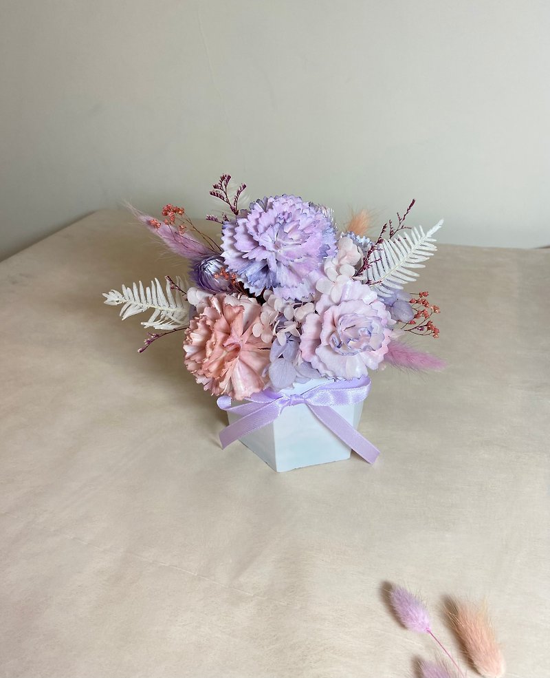 Carnation Diffuse Potted Flower Dry Potted Flower Mother's Day Gift Birthday Gift Office Decoration - ของวางตกแต่ง - พืช/ดอกไม้ หลากหลายสี
