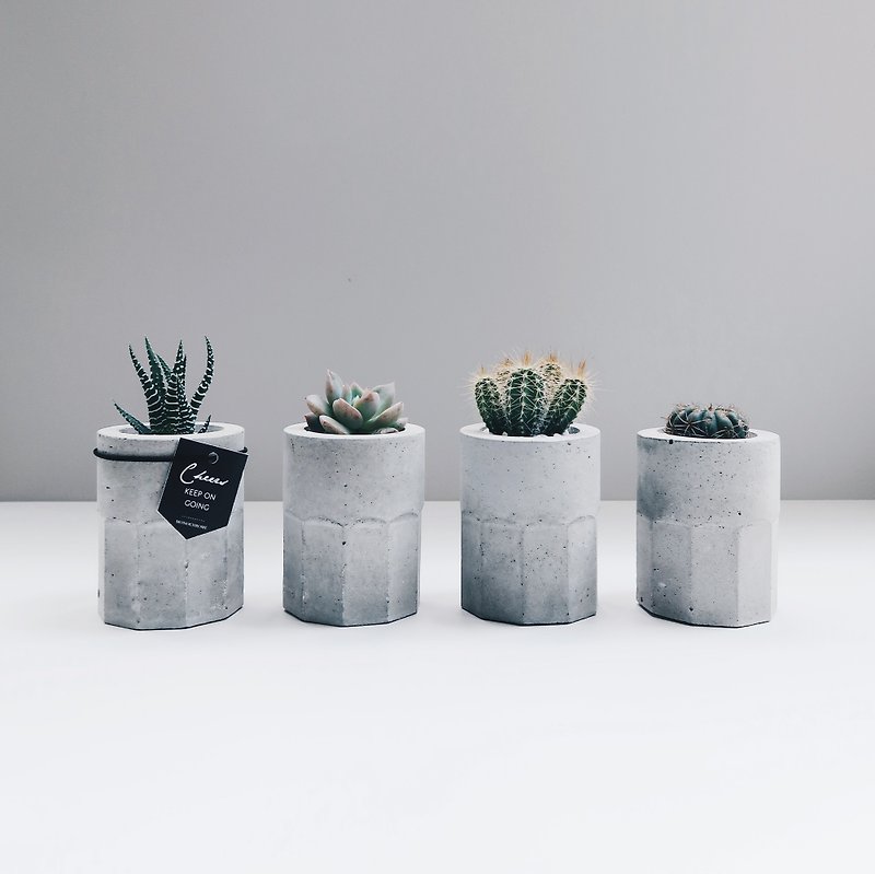 CHEERS Small Wine Glass│Succulent/Cactus Cement Shot Cup Potted Plant (including plants) - Plants - Cement Gray