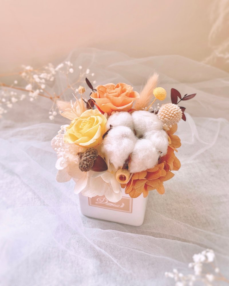 永生花盆花-暖橘黃 l 現貨 日本進口永生玫瑰 不凋盆花 開幕盆花 - 乾燥花/永生花 - 植物．花 橘色
