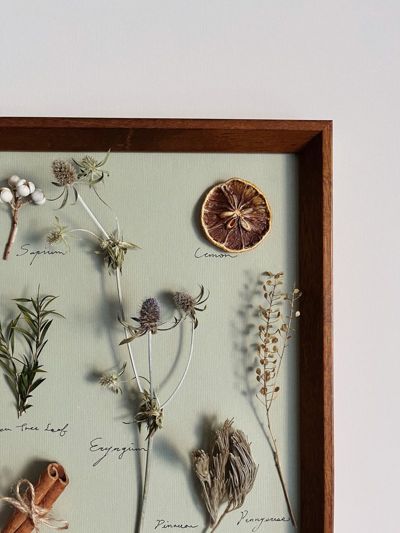 Natural dried flower & Paper & Frame∣Dicranopteris linearis - Items for Display - Plants & Flowers 