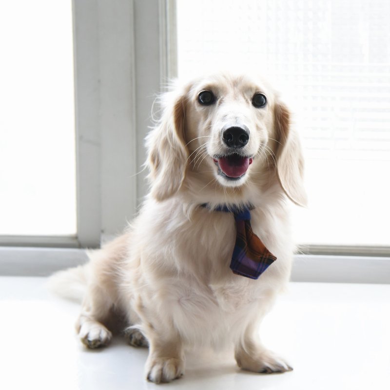 Handmade Tartan/ Plaid Pet Dog Collar Accessory - Tie - Henry Tangerine【ZAZAZOO】 - Collars & Leashes - Cotton & Hemp Orange