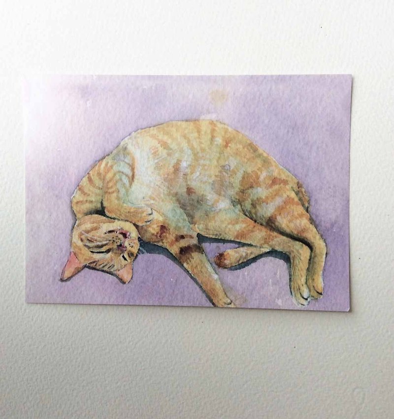Cat Sleeping Series Hand-painted Postcard Orange Cat - Cards & Postcards - Paper Orange