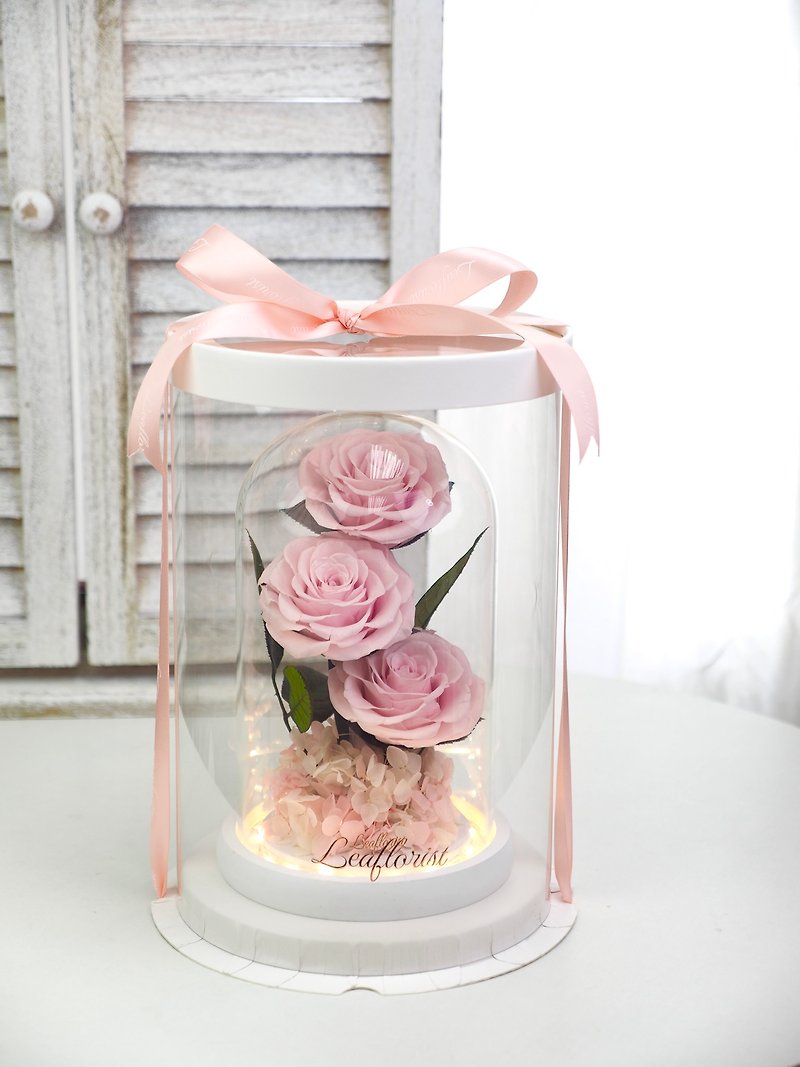 Valentine's Day Preserved Flower Arrangements - 4 Colors Available - Items for Display - Other Materials White