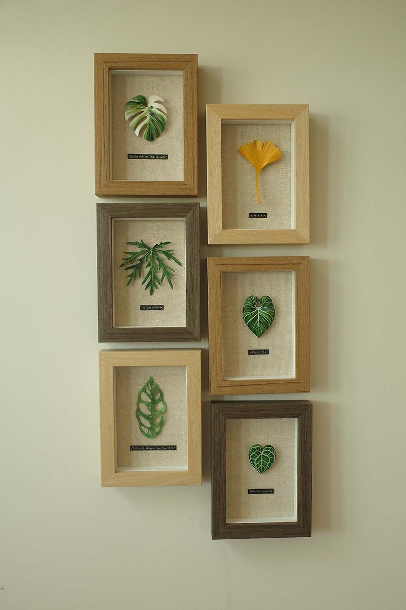 1 leaf leather specimen photo frame - Items for Display - Genuine Leather Green