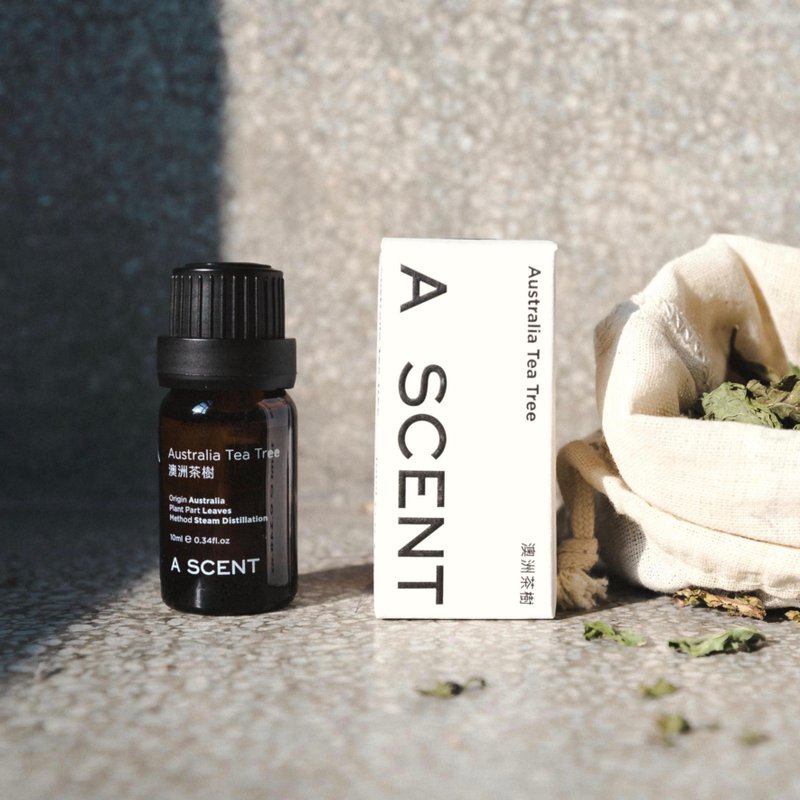 澳洲茶樹精油 10ml - 香氛/精油/擴香 - 精油 綠色