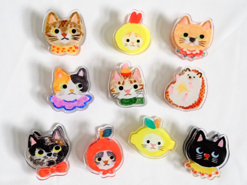 壓克力雙面萬用夾 共10款 - 其他 - 壓克力 透明