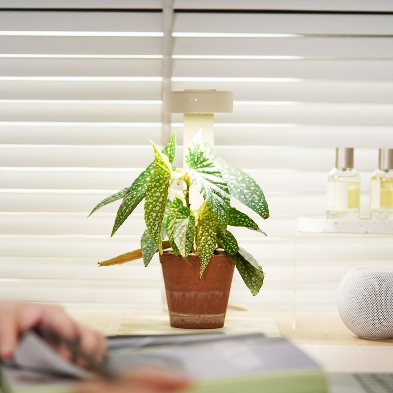 ONF MIST O+ app Plant Mist Light Meter Full Spectrum LED Magnetic Plant Lamp for Indoor Plants - โคมไฟ - วัสดุอื่นๆ 