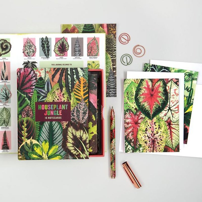 galison | 植物セット クリスマスカード | ホーム観葉植物 ジャングル | カード16枚 + クリスマスギフト - カード・はがき - 紙 多色