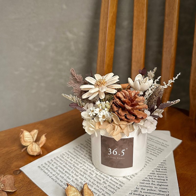 Pine cone cinnamon small potted flower - Dried Flowers & Bouquets - Plants & Flowers Brown