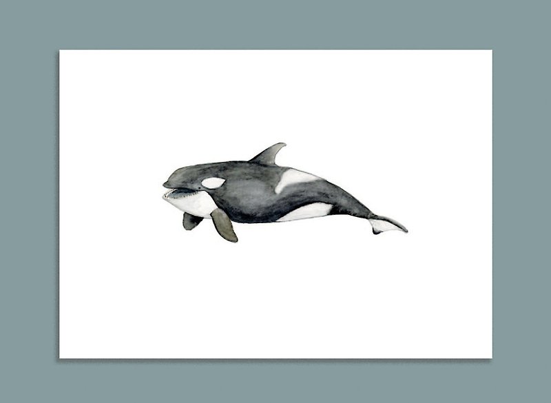 Jade Ji Paper / Killer Whale / Hand-painted Postcard - Cards & Postcards - Paper Black