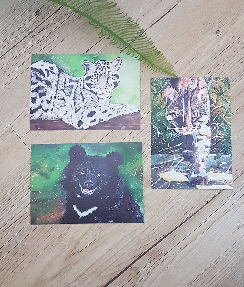 Endemic to Taiwan postcards / leopard / black bear / tiger Stone - การ์ด/โปสการ์ด - กระดาษ หลากหลายสี