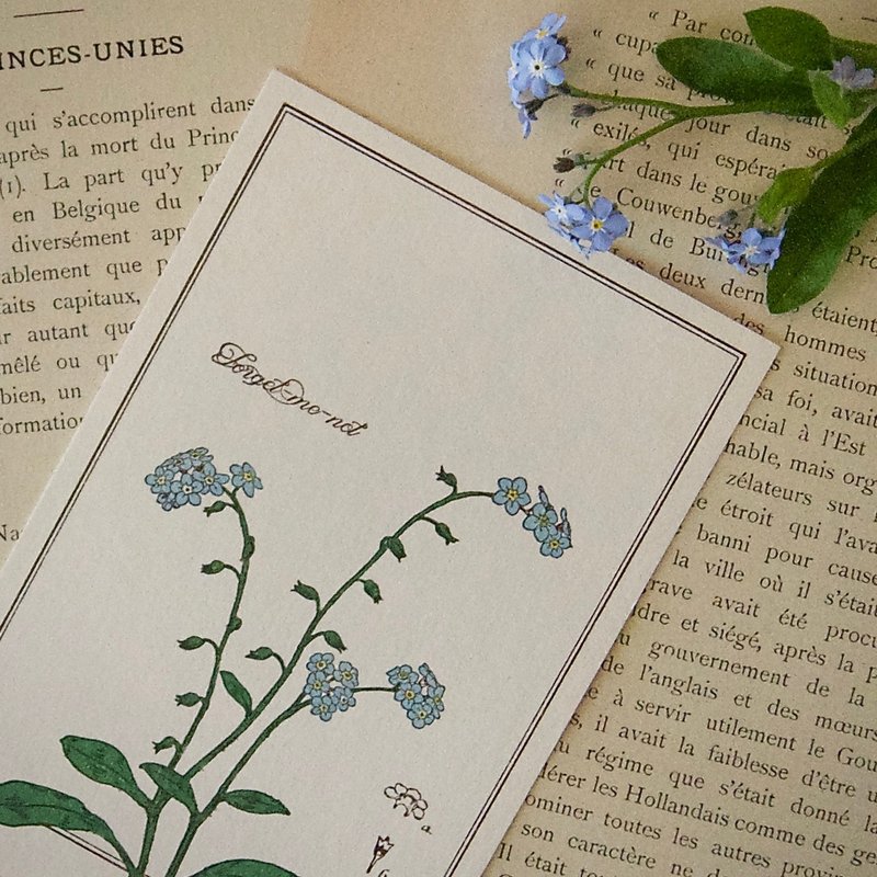 【ポストカード】ワスレナグサ / 活版印刷 / 100mm×148mm - はがき・メッセージカード - 紙 