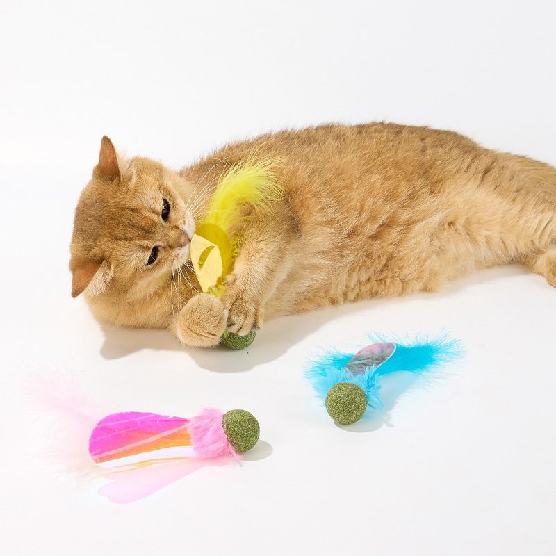 【LUUKS UP】Colorful Wings Cat Toy | Bug Shape Ignites Your Cat's Hunting Instinct - ของเล่นสัตว์ - วัสดุอื่นๆ หลากหลายสี