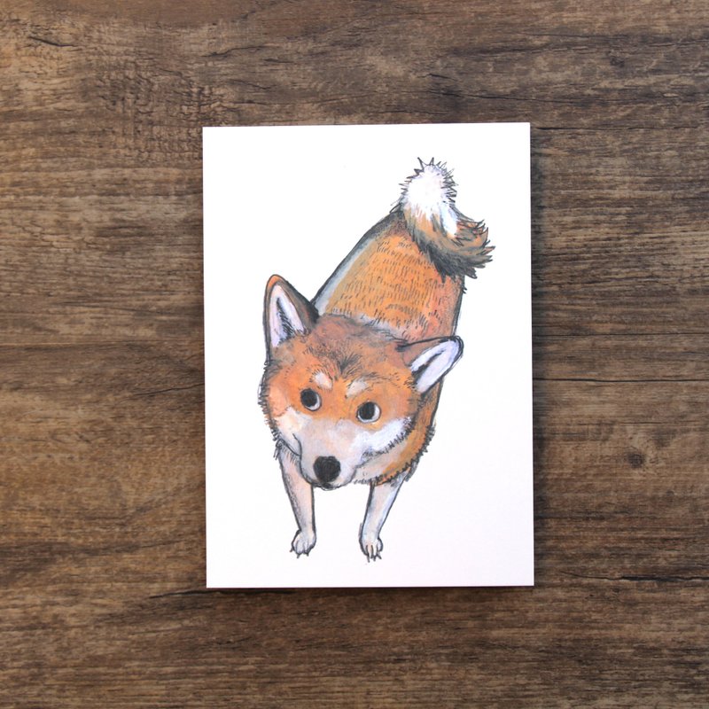 動物明信片 柴犬 - 卡片/明信片 - 紙 卡其色