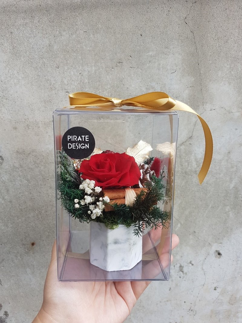 Haizang Design│Eternal Life Christmas Rose. Aroma Stone marbled potted flowers. Comes with a transparent gift box - ตกแต่งต้นไม้ - พืช/ดอกไม้ สีแดง