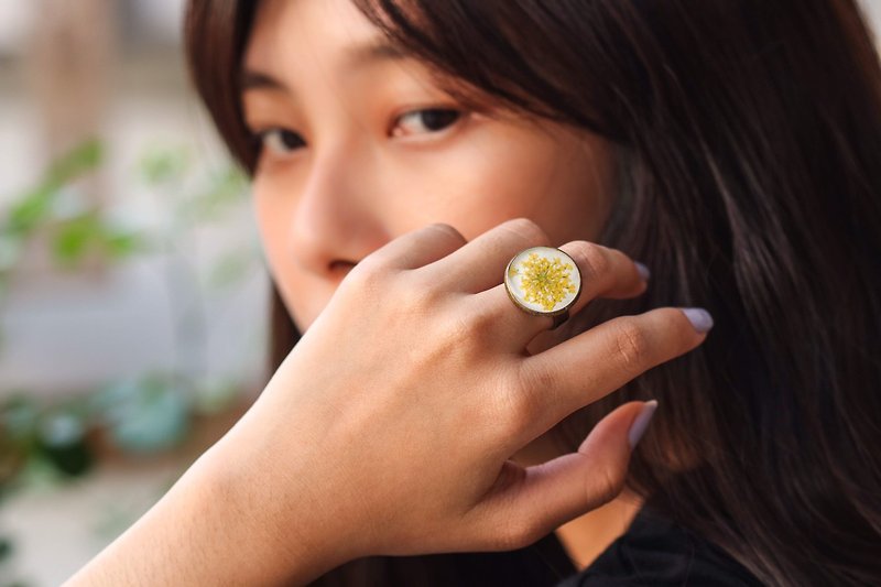 Ammi majus (Yellow, BG-White) – Ring - แหวนทั่วไป - พืช/ดอกไม้ สีเหลือง