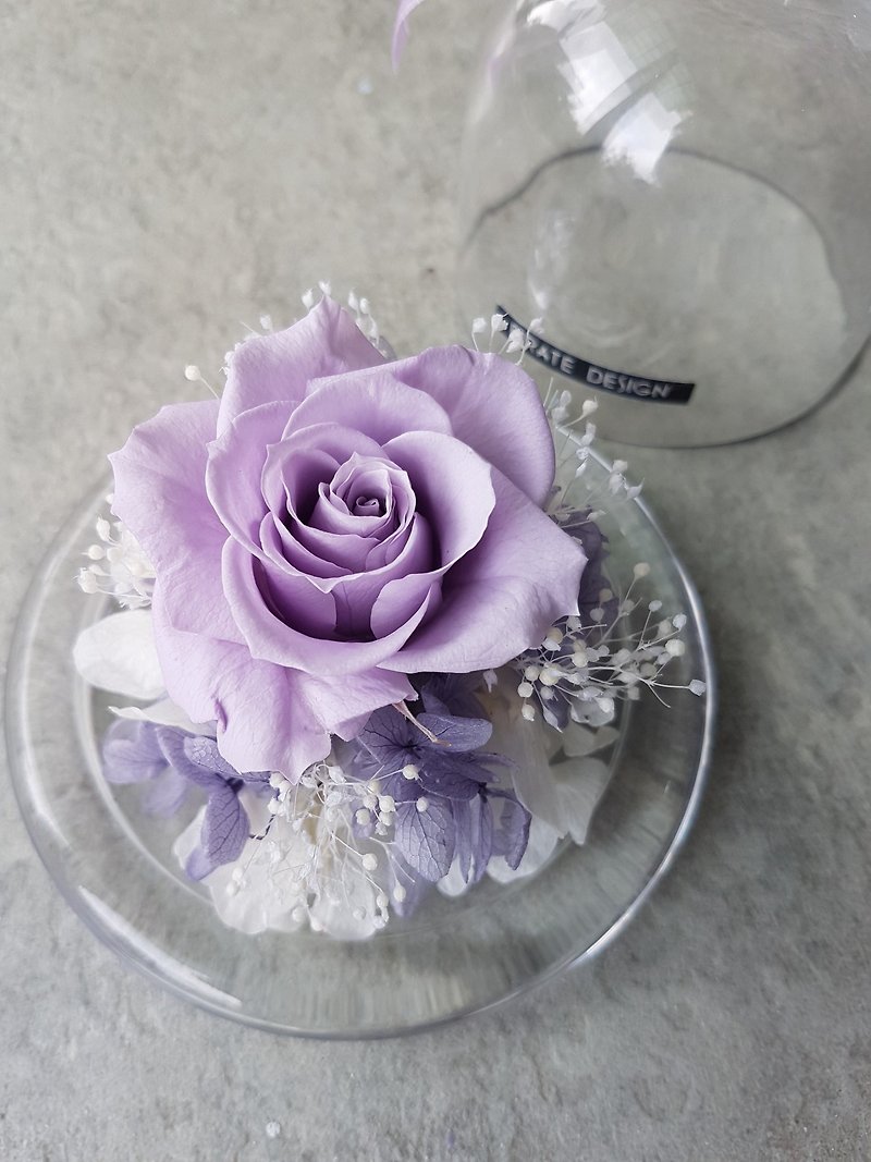 Haizang Design│Smoky Ash Purple. Everlasting Rose Glass Flower Cup/Glass Cover/Birthday Gift/Lover Gift