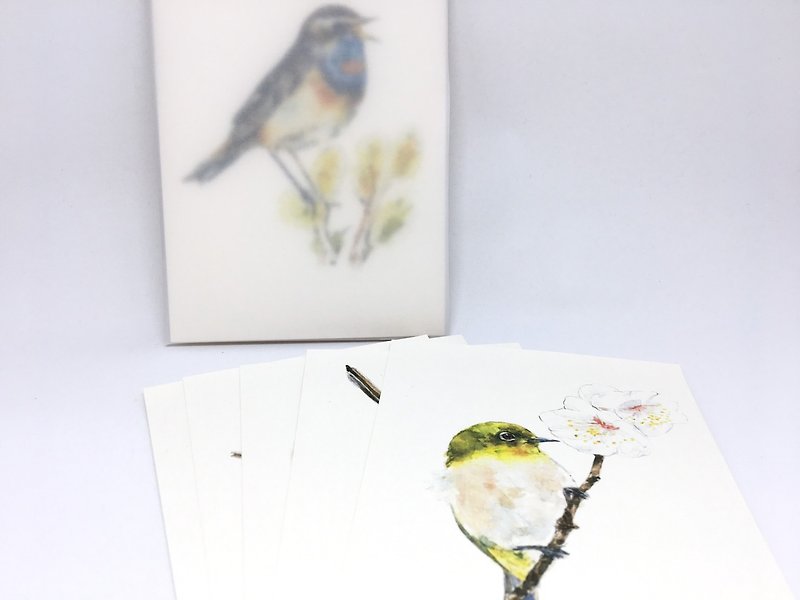 Birds postcard group - 6 into - out of print paragraph C - การ์ด/โปสการ์ด - กระดาษ 