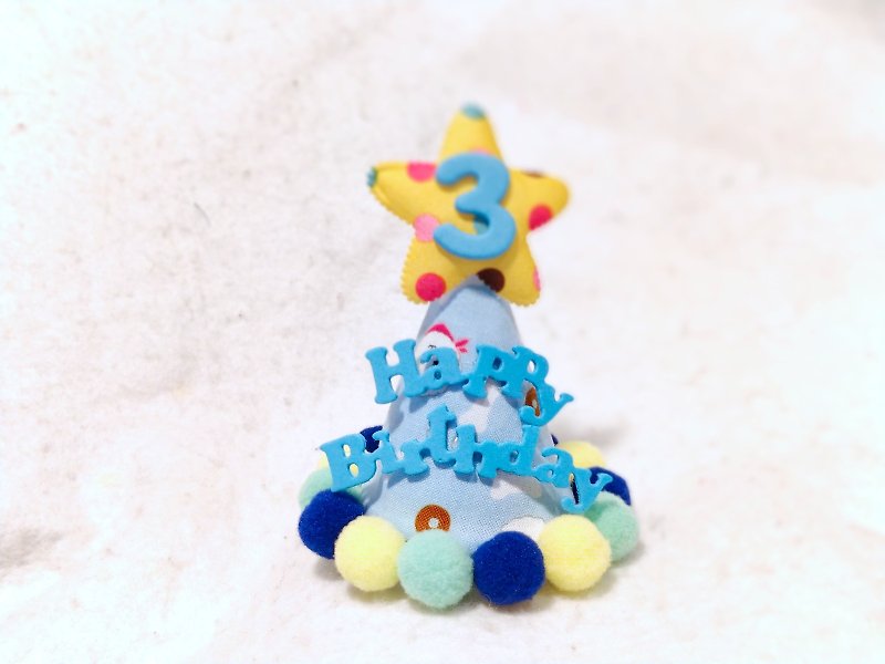 Birthday star birthday star age name pet birthday hat bichon cloth