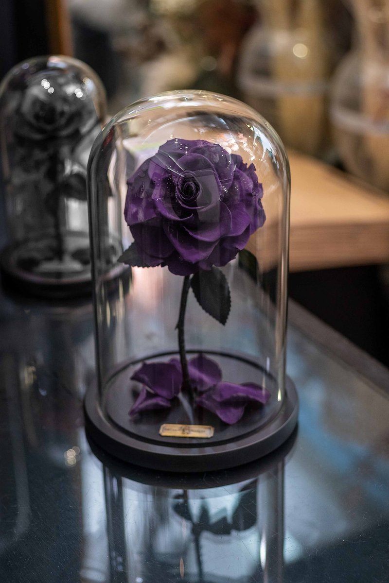 Valentine's Day Flower Gift/Beauty and the Beast Immortal Flower Deep Purple L - ช่อดอกไม้แห้ง - พืช/ดอกไม้ สีม่วง