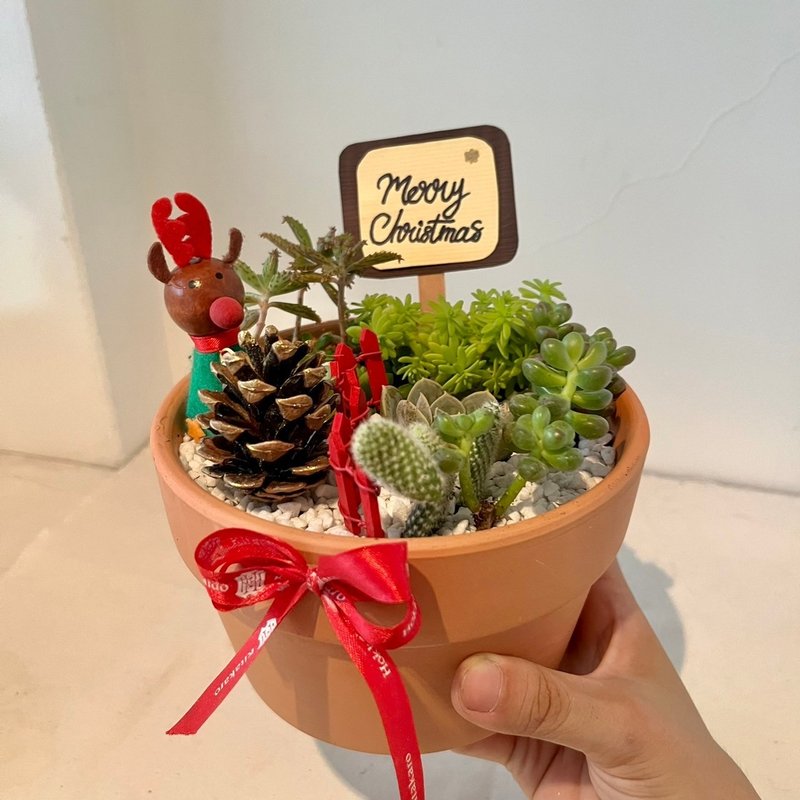 Christmas Christmas gift reindeer pine cone festive gift succulent group pot succulent creative potted succulent - ตกแต่งต้นไม้ - พืช/ดอกไม้ สีเขียว