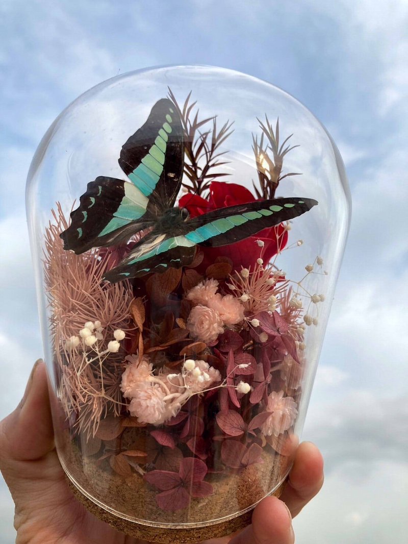 Butterfly specimen glass cup/green-banded swallowtail butterfly/Chinese Valentine's Day/Father's Day gift/Butterfly Lover - Dried Flowers & Bouquets - Plants & Flowers Red