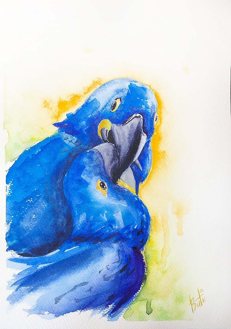 Hyacinth Macaws Painting Blue Bird Original Artwork Kiss Watercolor Wall Art