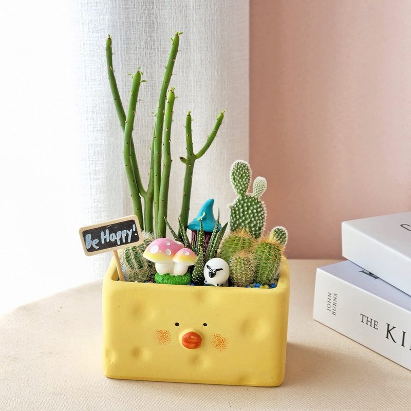 PD182 succulent cactus shaped potted plant/birthday gift and promotion congratulations - ตกแต่งต้นไม้ - พืช/ดอกไม้ 