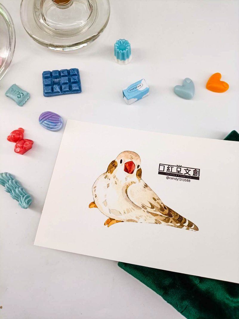 KR474_口紅堂明信片_文鳥8_candy1313588 postcard - 卡片/明信片 - 紙 多色