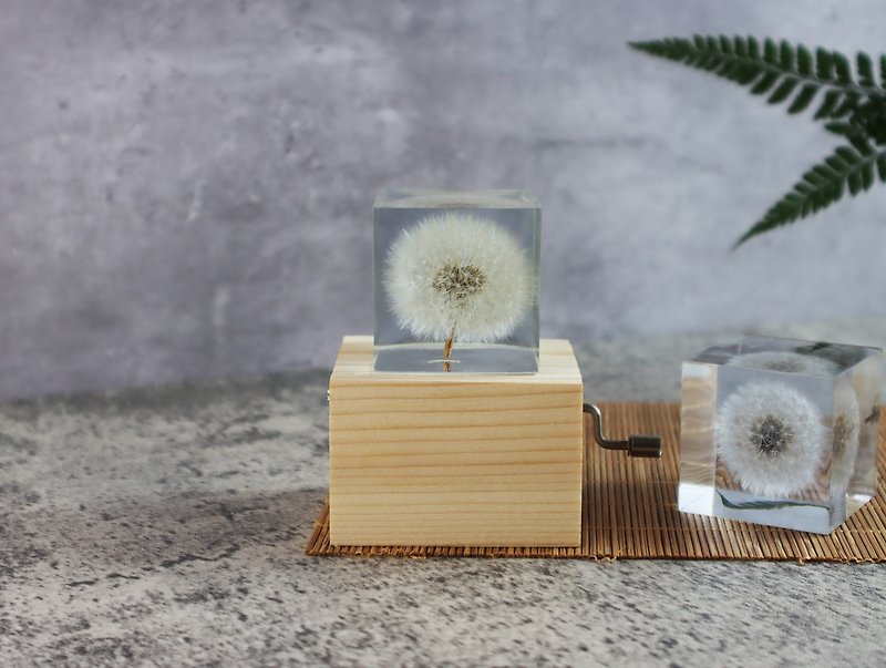 Mengtianya Dandelion Ice Brick~Music Box (square 4cm) hand crank - Items for Display - Resin White