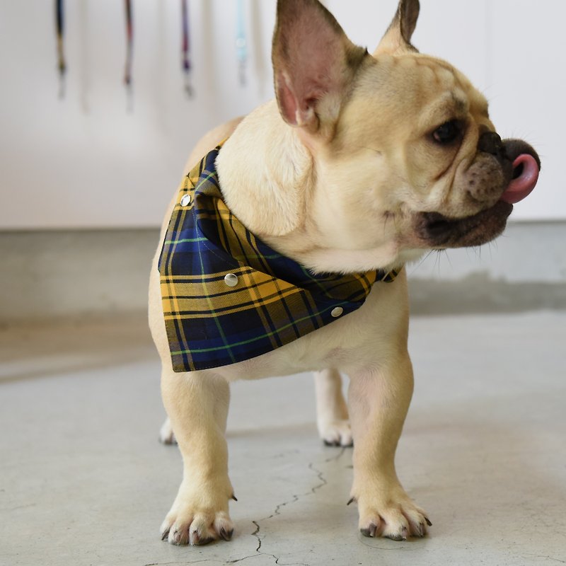 [ZAZAZOO] M code dog collar accessories - naughty yellow - without collar - ปลอกคอ - เส้นใยสังเคราะห์ 