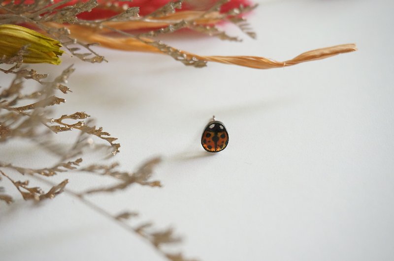 Hand Painted-Little Ladybug Earrings/Pair - ต่างหู - เรซิน สีแดง