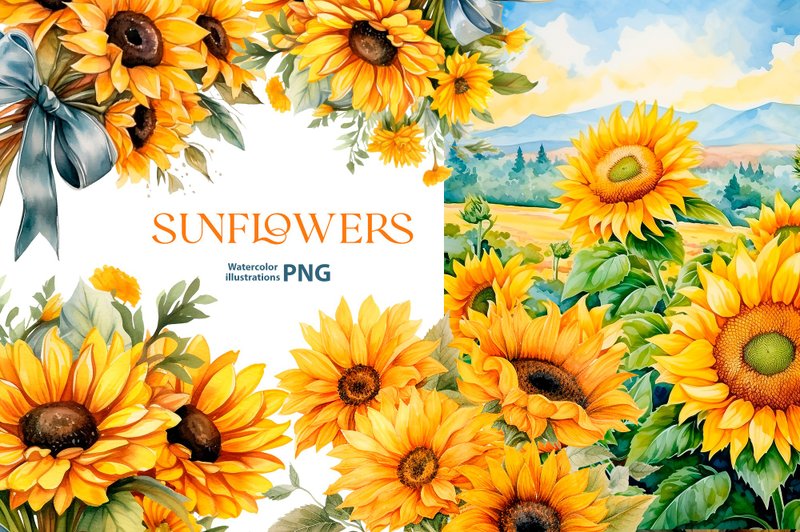 Watercolor sunflowers illustration, 5 floral PNG, Summer Sunflower clipart - 電子手帳及素材 - 其他材質 