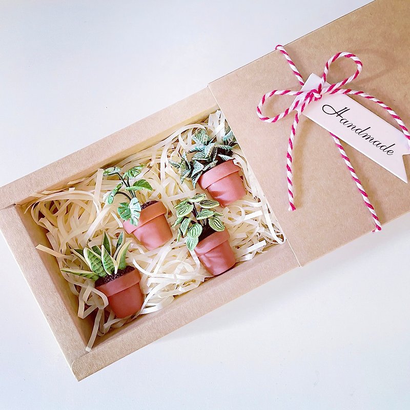 【精選禮盒】迷你觀葉植物盆栽磁鐵4款組 含卡片。黏土觀葉植物 - 磁石貼/磁鐵 - 黏土 綠色