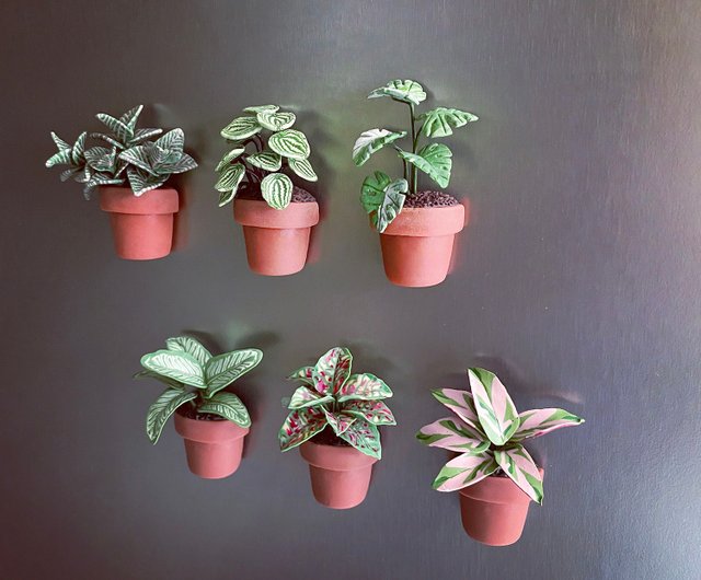 厳選ギフトボックス】カード付きミニ観葉植物鉢植えマグネット4