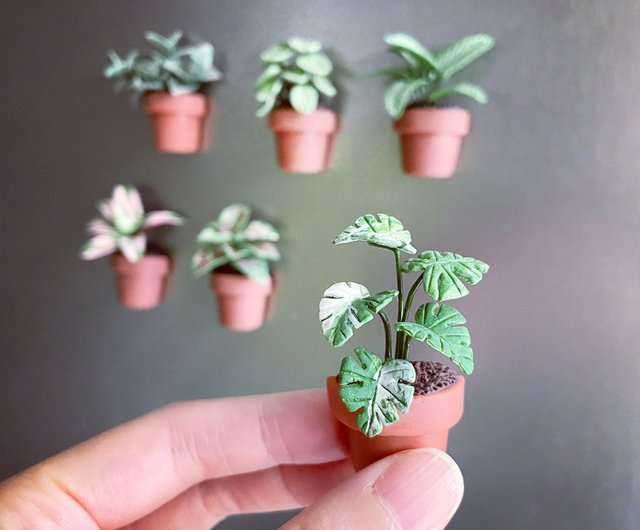 厳選ギフトボックス】カード付きミニ観葉植物鉢植えマグネット4